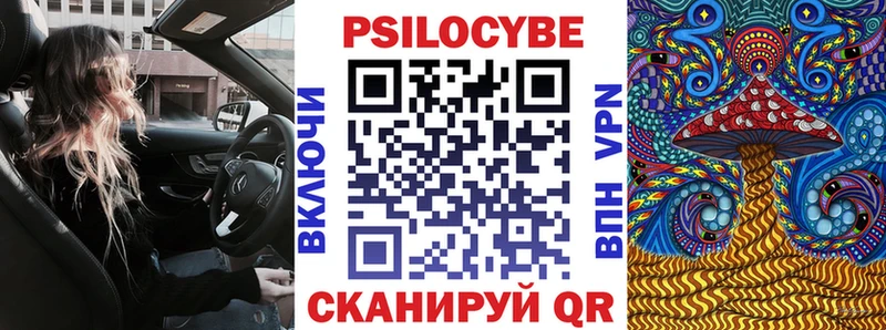 Псилоцибиновые грибы Cubensis  МЕГА онион  Юрьев-Польский  продажа наркотиков 