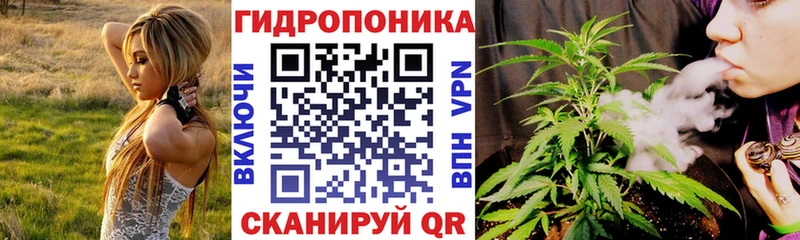 Каннабис тримм  mega   мориарти официальный сайт  Юрьев-Польский 